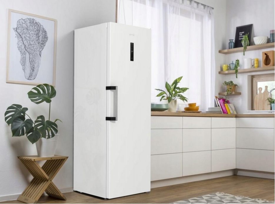 Lodówka jednodrzwiowa chłodziarka Gorenje R619EAW6 FeshZone 398l 185cm - obrazek 2